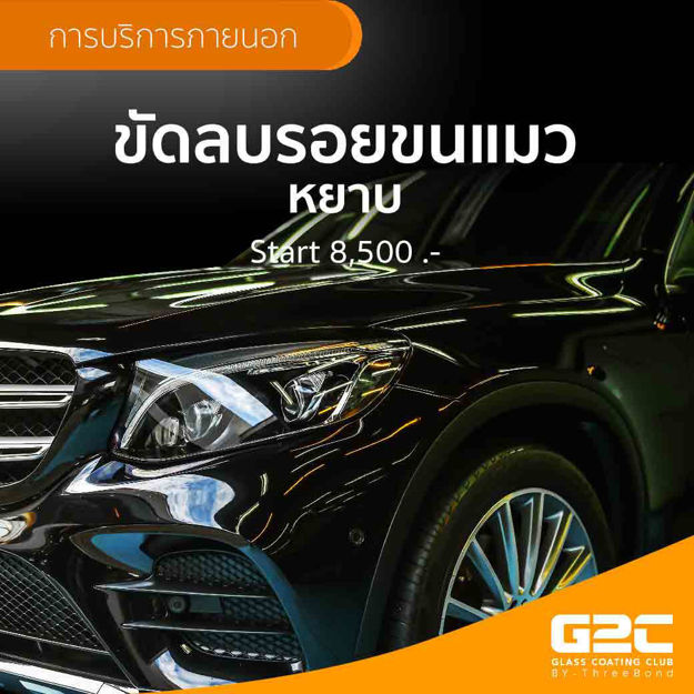 Picture of ขัดลบรอยขนแมว หยาบ