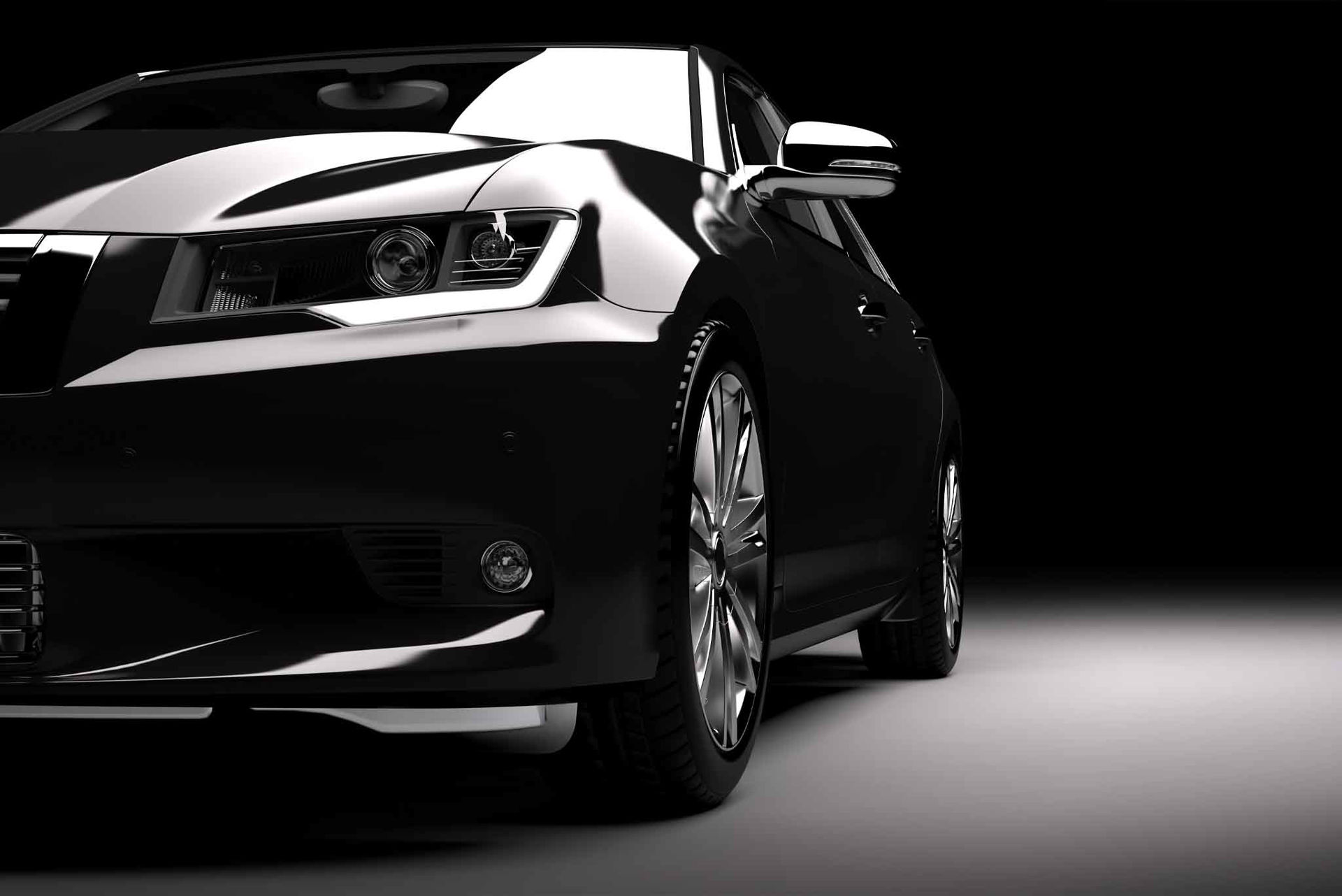 Picture for category GALLERY